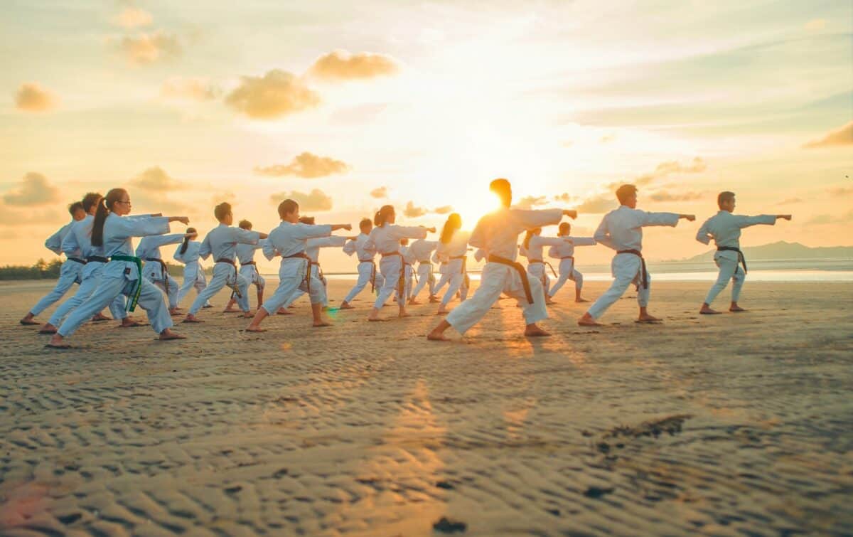 beneficios salud artes marciales